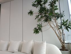 -UTIME媛腾·胶原科技中心