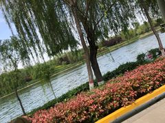 -西安汉城湖景区