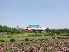 -君乐宝优致牧场
