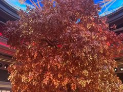 -澳门威尼斯人综合度假区