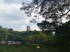 -晓港公园
