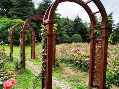 -上海滨江森林公园