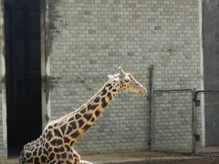 -石家庄市动物园