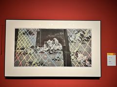 -江苏省美术馆(长江路新馆)