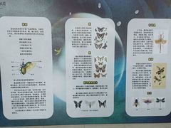 -中国杭州低碳科技馆