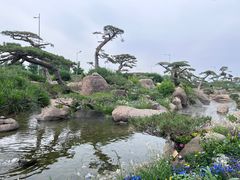 -罗红摄影艺术馆