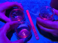 -星聚会KTV(上海徐汇西岸凤巢店)