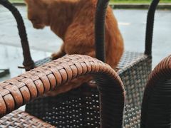 -尽峰攀岩 Acme Climbing