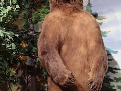 -陕西自然博物馆