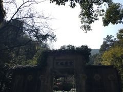 -十八棵（老龙井）御茶园(老龙井店)