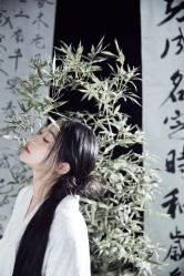 -WAVE SODA摄影工作室