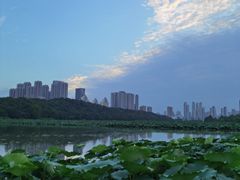 -月湖风景区