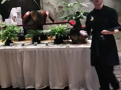 -南堂館川菜文化餐厅(天府店)