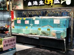 -石岐乳鸽村(南海第三分店)