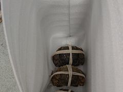 -阳澄湖大闸蟹·琼灵阁牌品牌连锁(吴中总店)
