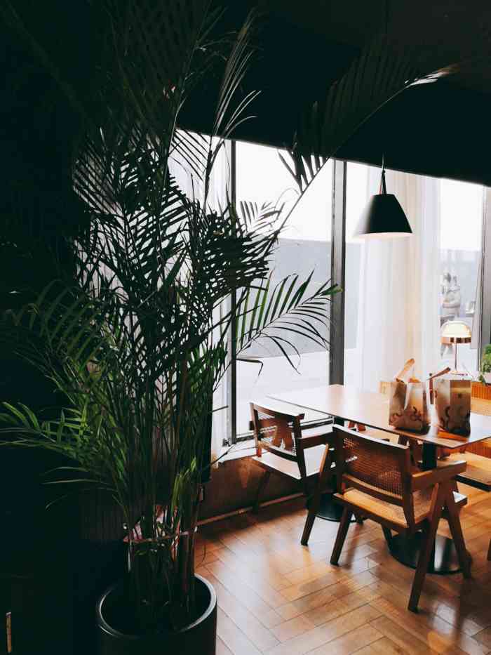 starry restaurant bar(大悦城店)-"来到西安第一站就打卡这家店啦!