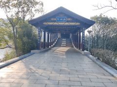-长广溪湿地公园