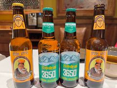 拉萨啤酒3650-松赞拉萨林卡酒店