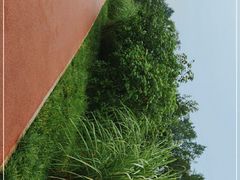 -桤木河湿地公园