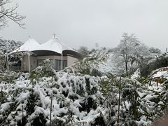 -帐篷客·溪龙茶谷度假酒店