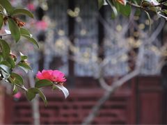 -盘门景区