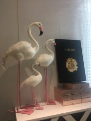 -INNEREAL英妮芮医疗美容