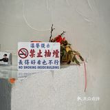深圳咖啡新店·肤浅的我就是被小火龙吸引来的