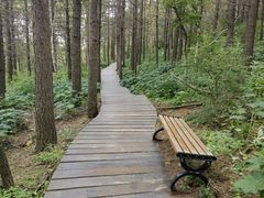 -白草畔自然风景区