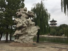 -莱西月湖公园