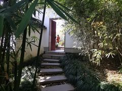 -苏州上方山国家森林公园