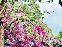 -深圳国际园林花卉博览园