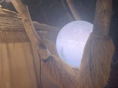 -大汗烧烤滩羊馆(清水河公园店)