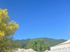 -北京西山国家森林公园