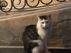 -巴伐利亚啤酒坊(意式风情街店)