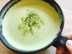 -雪绿茶博物馆