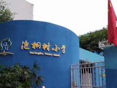 -泡桐树街
