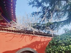 -西安市广仁寺