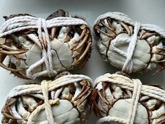 -阳澄湖大闸蟹·琼灵阁牌品牌连锁(吴中总店)