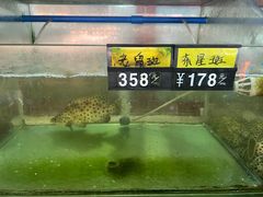 -岛中岛·海鲜大排档·万宁老字号(东澳店)