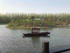 -合肥滨湖国家森林公园