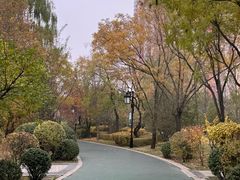-迎泽公园