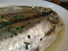 太湖白鱼-鱼食饭稻·苏浙土菜17年老馆子(平江路店)