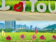 -光明小镇欢乐田园