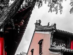 -灵谷景区