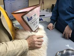 -瑞派蒂凯宠物医院·免疫点·宠保定点