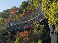 -福道
