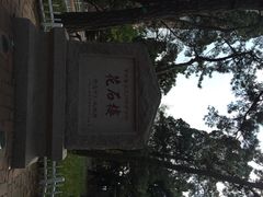 八大关景区-八大关景区