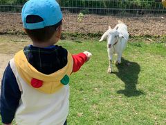 -前小桔亲子创意农场·草莓采摘·露营烧烤