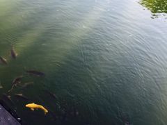 iphone_upload_pic-北京民族园葉子里酒店(鸟巢店)