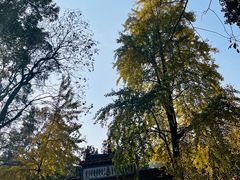 -岳麓山风景名胜区